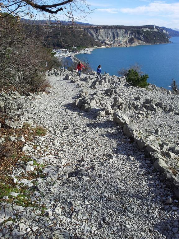 Oliveto Mare Carso *